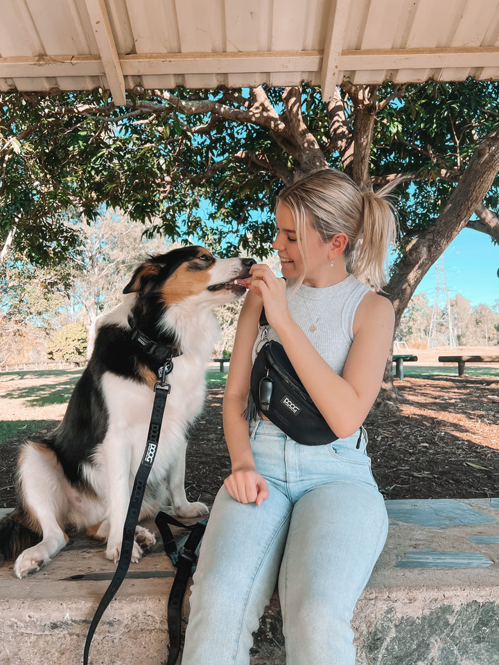 Clip-It Dog Leash