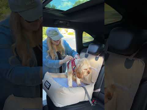 Dog Car Seat - Small