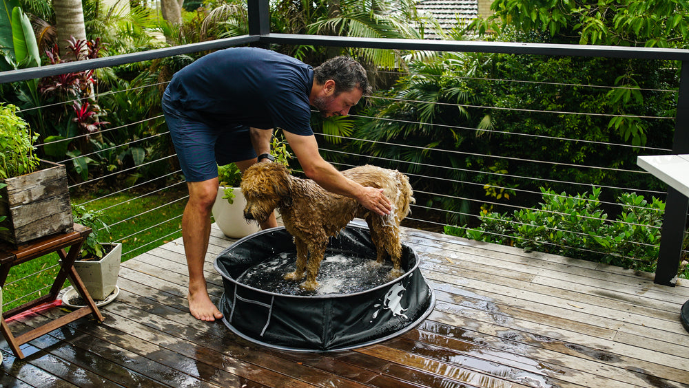 Pop-Up Dog Pool