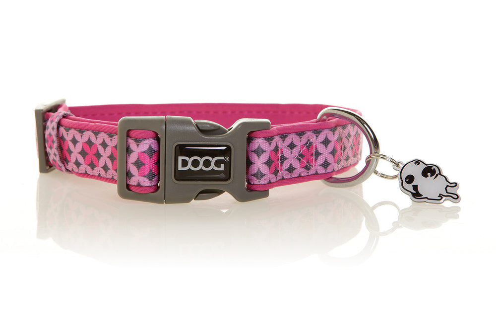 Neoprene Dog Collar - Toto