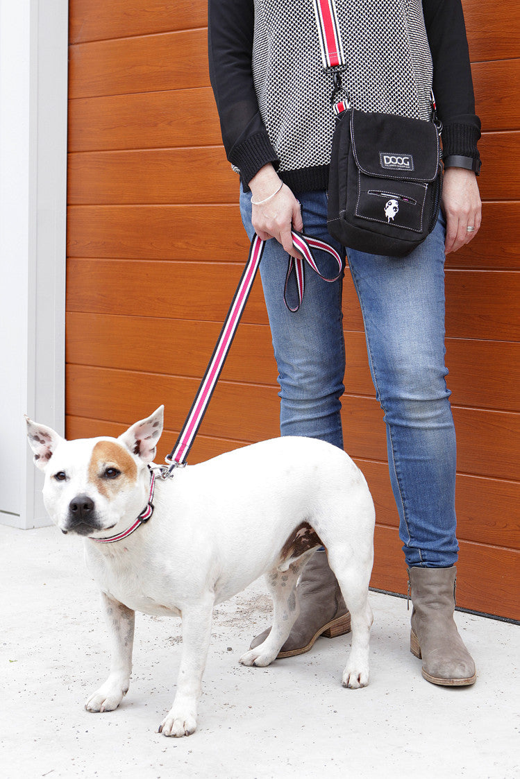Walkie Bag