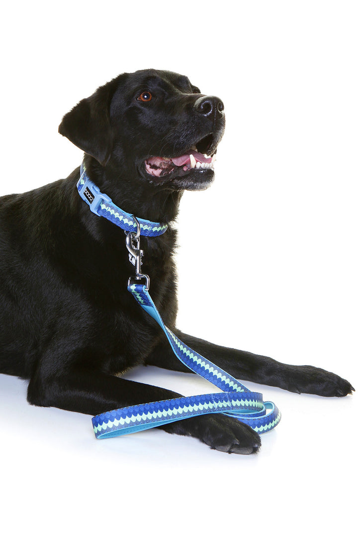 Neoprene Dog Lead - Pluto