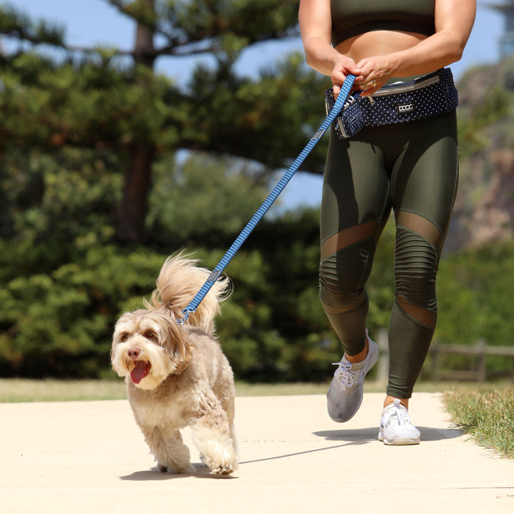Walkie Belt - Stella (Navy & White Spots)