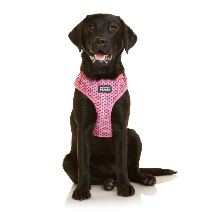 Neoflex Soft Harness - Toto