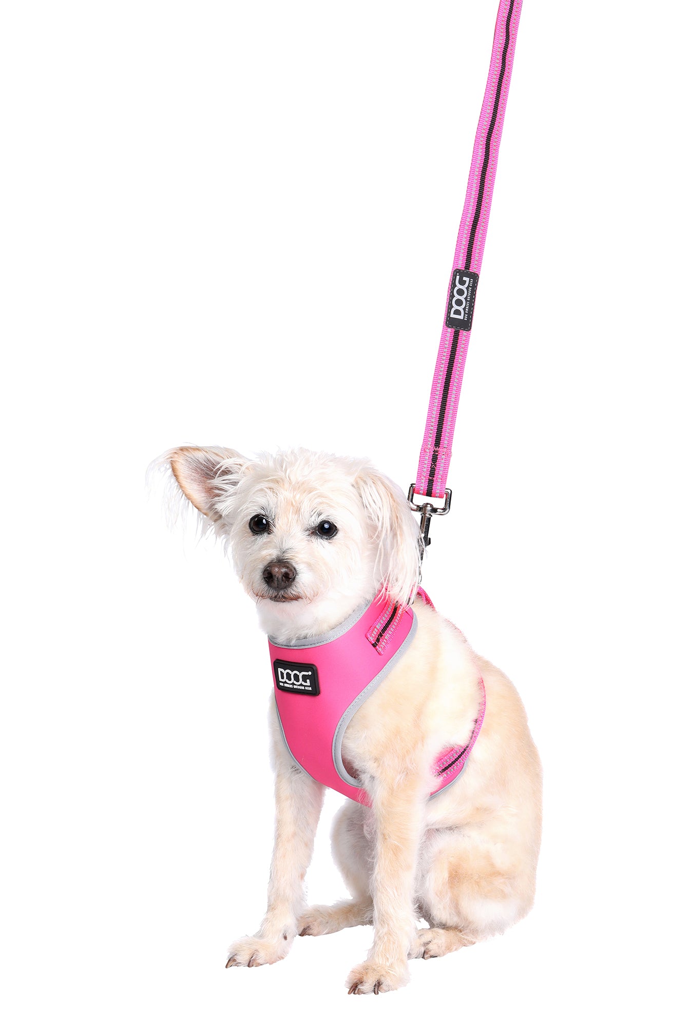 Neoflex Soft Harness - (Neon High Vis) Lady