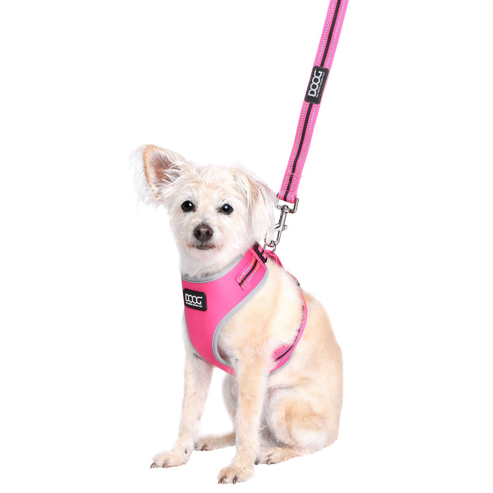 Neoprene Dog Lead - (Neon High Vis) Lady