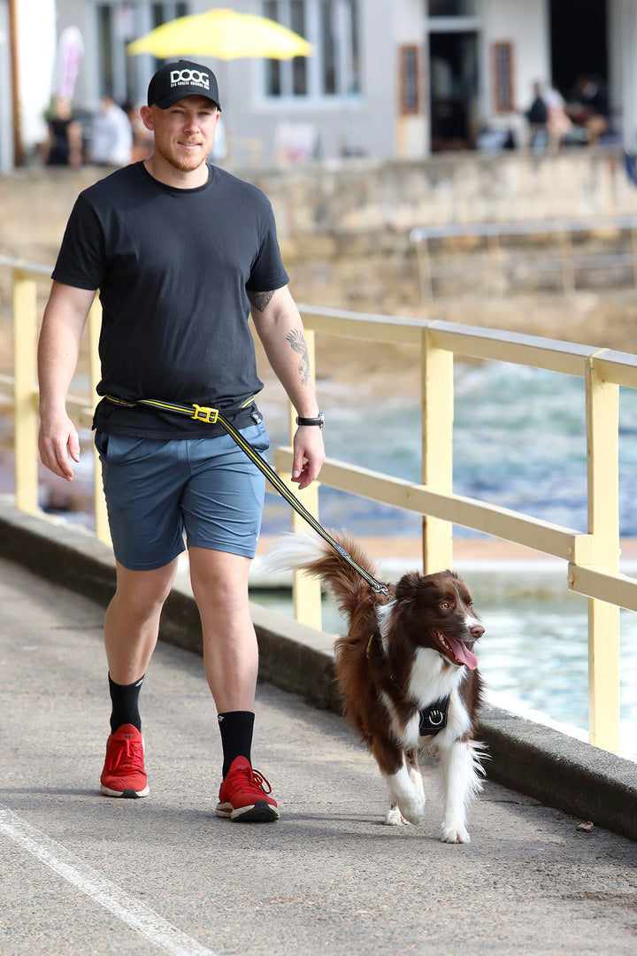 'Clip It' Neoprene Dog Lead - (Neon High Vis) Beethoven