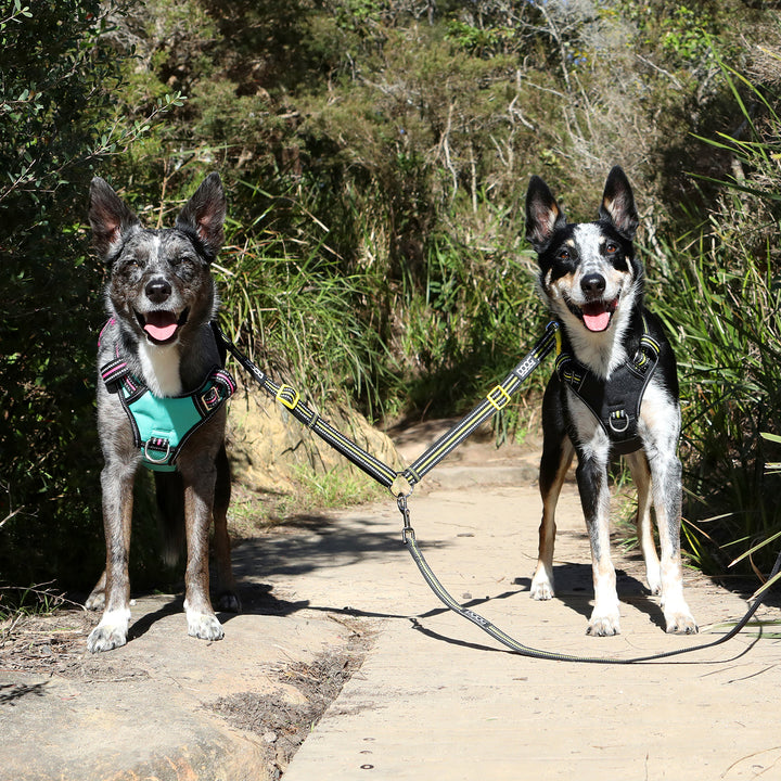 Dual Walker Leash - LADY