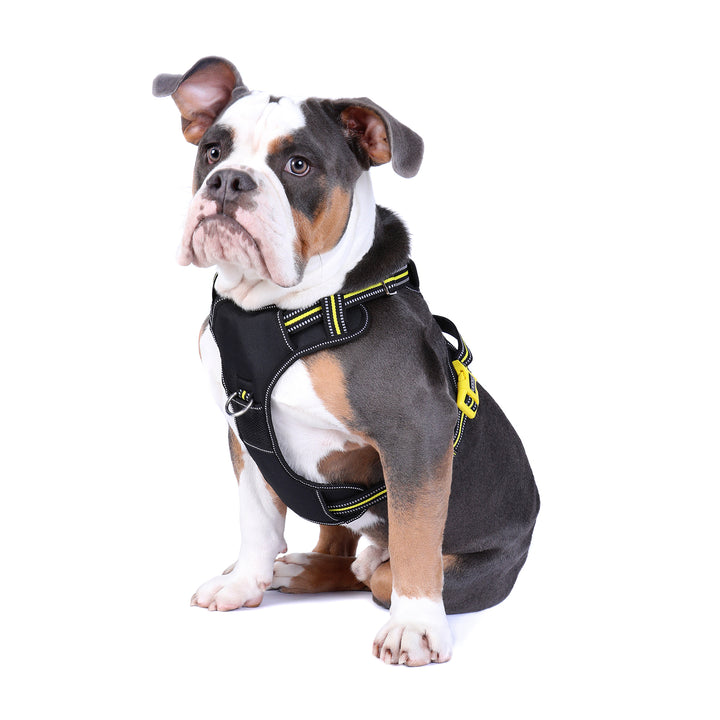 Neotech Harness - (Neon High Vis) Bolt