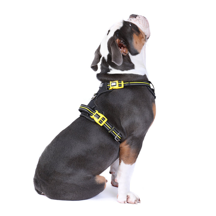Neotech Harness - (Neon High Vis) Bolt