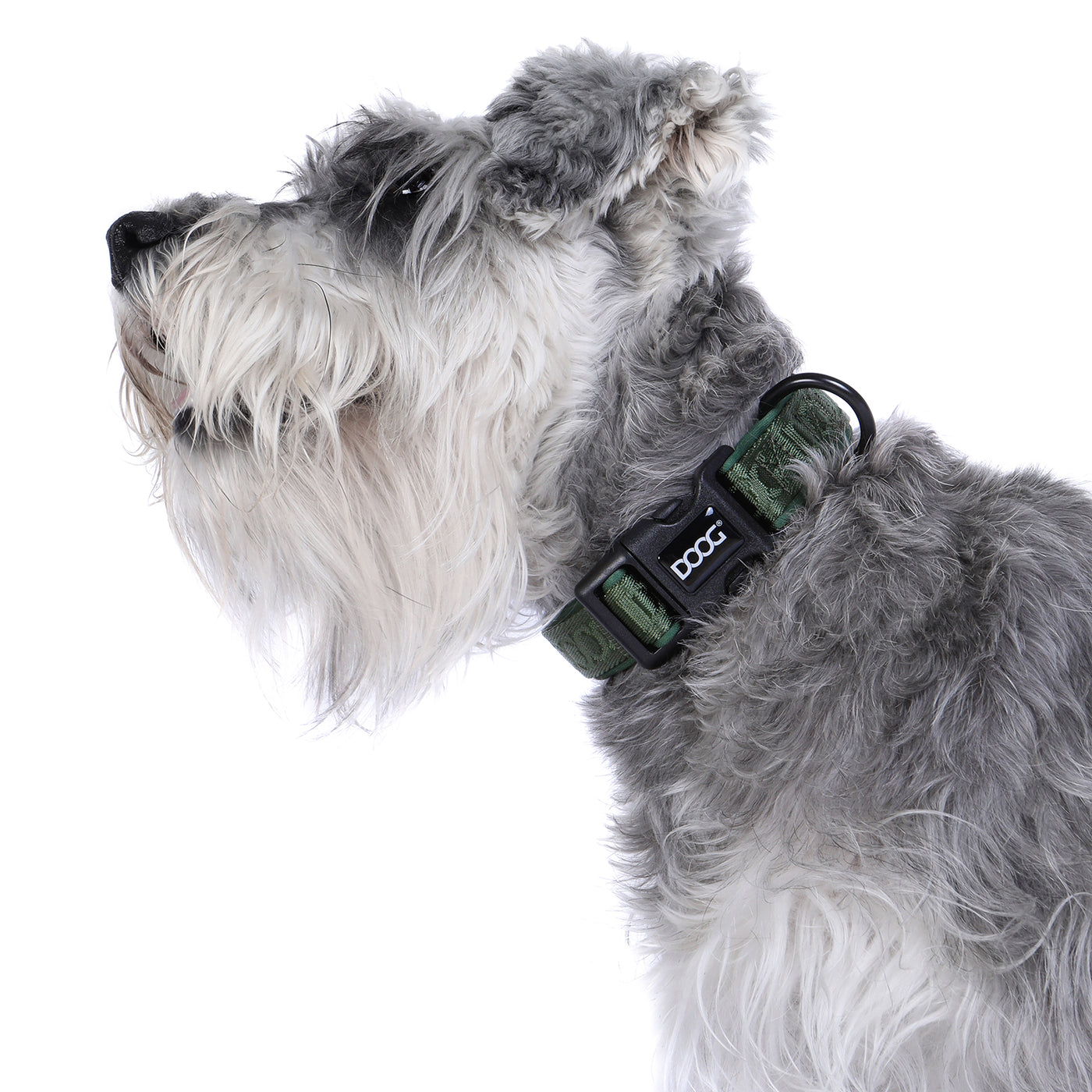 Neosport Neoprene Dog Collar - Olive Green