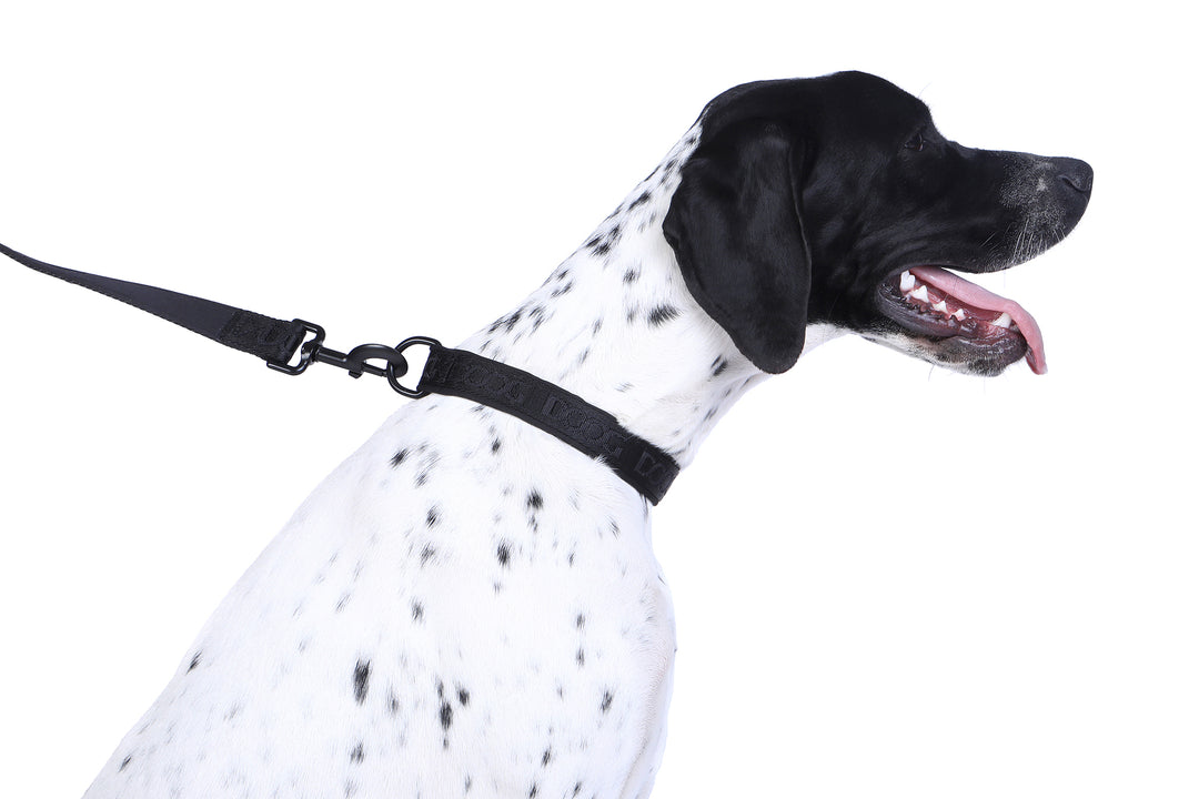 Neosport Neoprene Dog Collar - Black