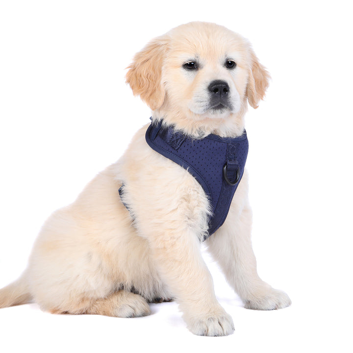 Neosport Soft Harness - Navy Blue