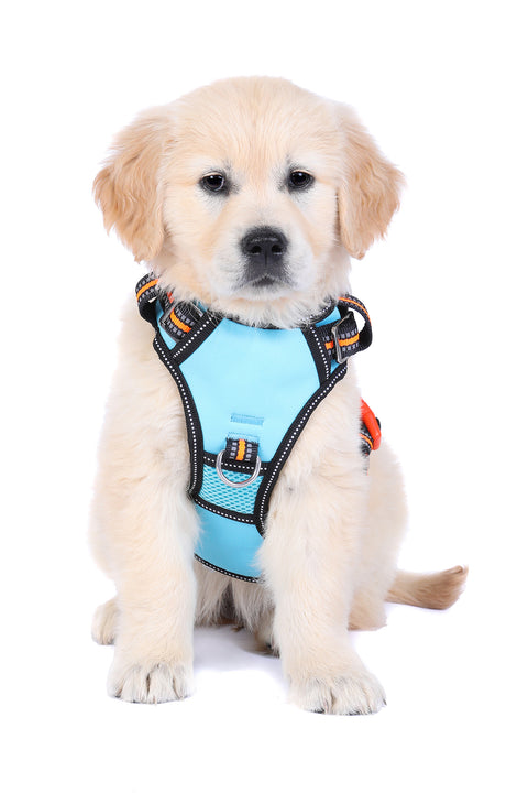 Neotech Harness