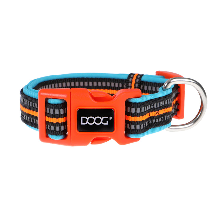 Neoprene Dog Collar - (Neon High Vis) Beethoven