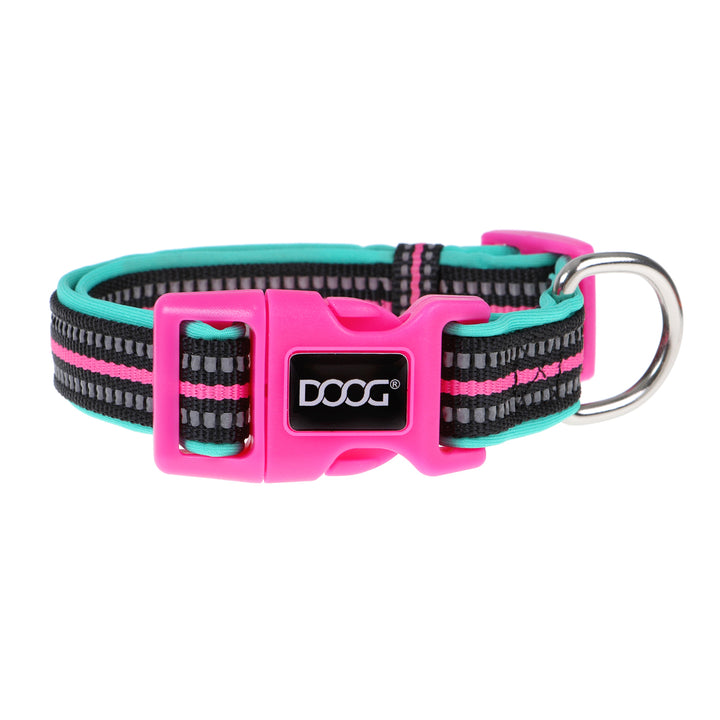 Neoprene Dog Collar - (Neon High Vis) Rin Tin Tin