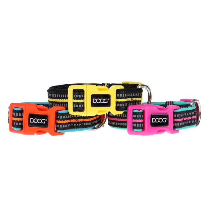 Neoprene Dog Collar - (Neon High Vis) Beethoven