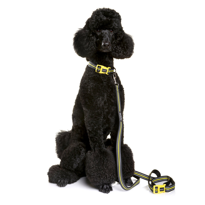 'Clip It' Neoprene Dog Lead - (Neon High Vis) Bolt