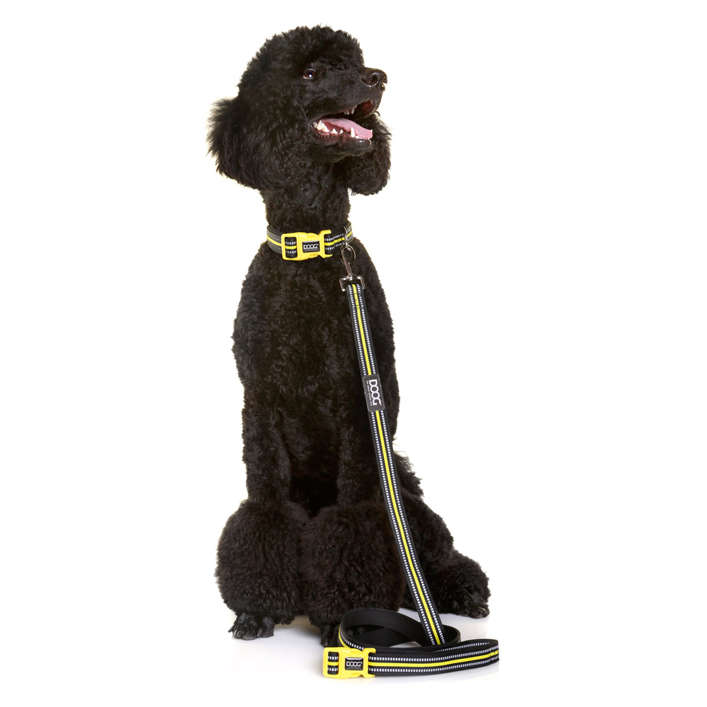 'Clip It' Neoprene Dog Lead - (Neon High Vis) Beethoven
