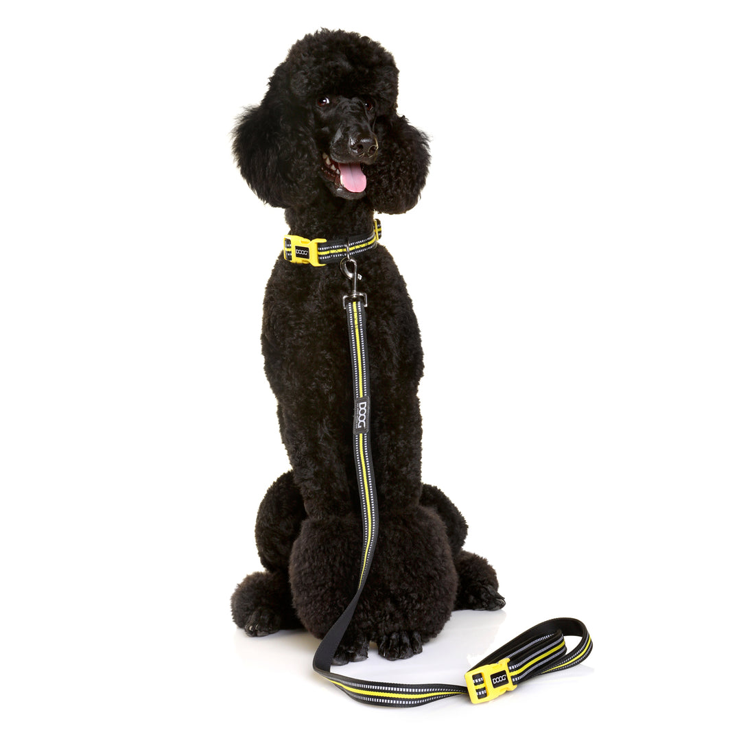 'Clip It' Neoprene Dog Lead - (Neon High Vis) Rin Tin Tin