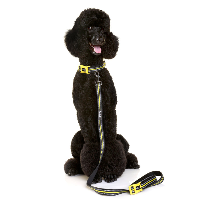 'Clip It' Neoprene Dog Lead - (Neon High Vis) Rin Tin Tin