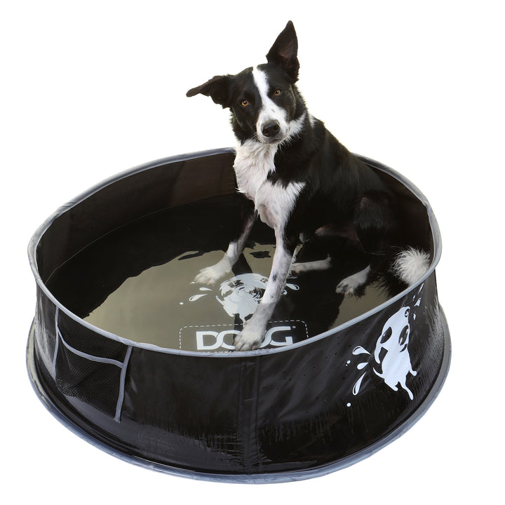 Pop-Up Dog Pool and Bath