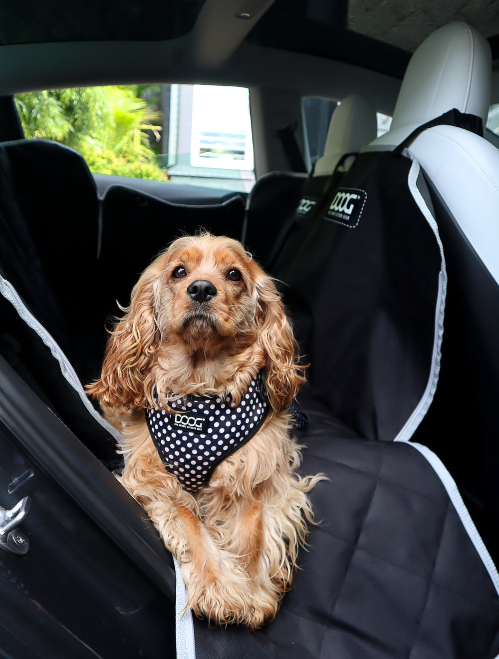 Car Seat Cover
