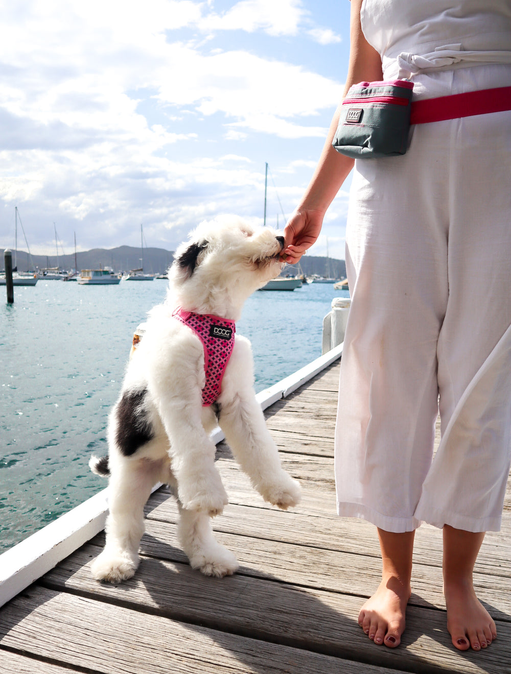 Neoflex Soft Harness - Toto