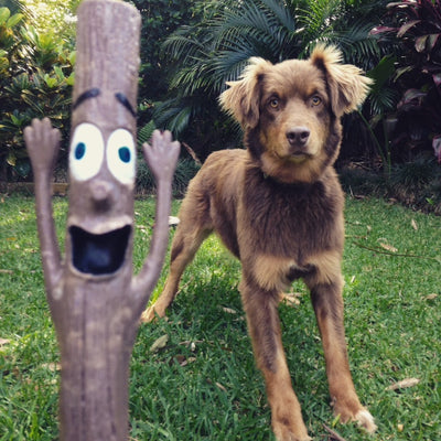 Stick Family Toys - Woody (Husband)