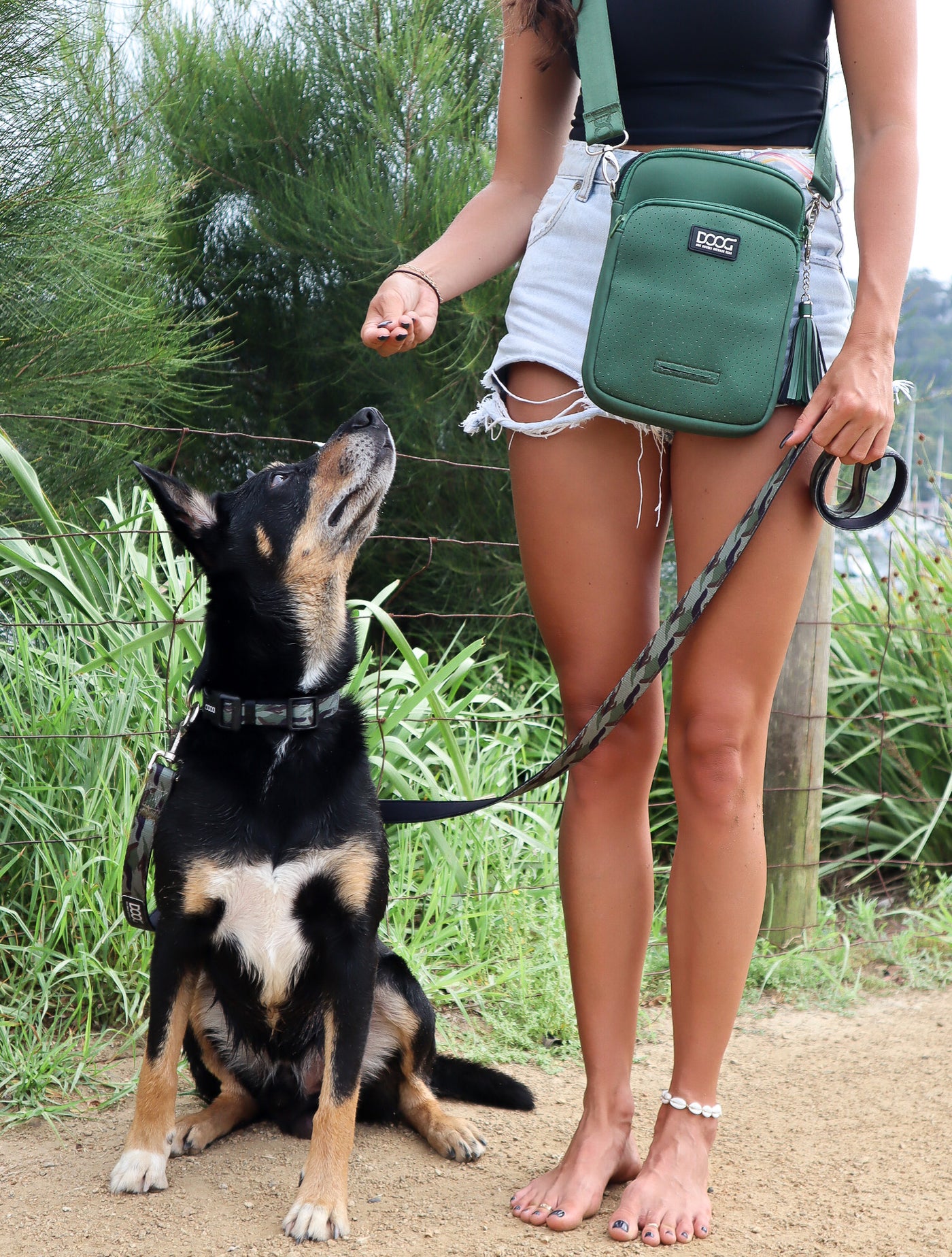 Neosport Walkie Bag Green DOOG Dog Owners Outdoor Gear