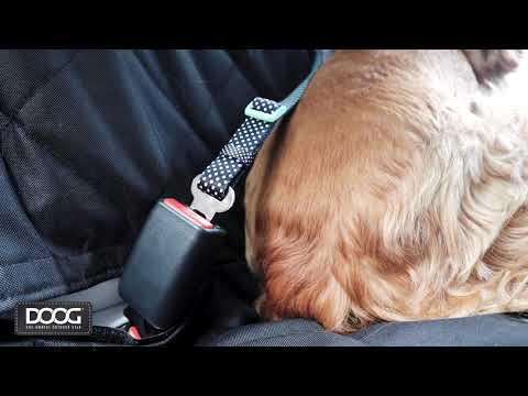 Car Restraint PONGO